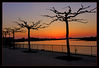 Dateiname=D_Medienhafen_Platanen_geschärft_010.jpg
Dateigröße=355KB
Abmessungen: 850x585
hinzugefügt am: 25. April 2010 D_Medienhafen_Platanen_geschärft_010.jpg