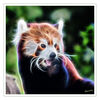 Dateiname=D_Roter_Panda_F_05.jpg
Dateigröße=364KB
Abmessungen: 850x850
hinzugefügt am: 26. März 2020 D_Roter_Panda_F_05.jpg
