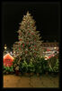 Dateiname=D_Weihnachtsbaum_02.jpg
Dateigröße=581KB
Abmessungen: 587x850
hinzugefügt am: 20. Dezember 2019 D_Weihnachtsbaum_02.jpg