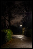 Dateiname=Daemmerungs2C_und_Nachtfotografie_Marianne_01.jpg
Dateigröße=858KB
Abmessungen: 819x1200
hinzugefügt am: 13. Dezember 2023 Daemmerungs2C_und_Nachtfotografie_Marianne_01.jpg