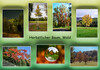 Dateiname=Deckblatt_Herbstlicher_Baum2C_Wald.jpg
Dateigröße=1034KB
Abmessungen: 1200x841
hinzugefügt am: 31. Oktober 2024 Deckblatt_Herbstlicher_Baum2C_Wald.jpg