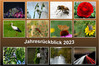 Dateiname=Deckblatt_RiRo~0.jpg
Dateigröße=983KB
Abmessungen: 1200x800
hinzugefügt am: 05. Januar 2024 Deckblatt_RiRo~0.jpg
