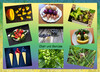 Dateiname=Deckblatt~5.jpg
Dateigröße=975KB
Abmessungen: 1200x868
hinzugefügt am: 30. Juli 2021 Deckblatt~5.jpg
