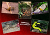 Dateiname=Deckblatt~7.jpg
Dateigröße=894KB
Abmessungen: 1200x848
hinzugefügt am: 11. Oktober 2024 Deckblatt~7.jpg