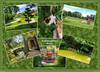 Dateiname=Deckblatt~8.jpg
Dateigröße=1272KB
Abmessungen: 1200x864
hinzugefügt am: 18. Juli 2024 Deckblatt~8.jpg