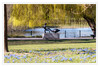 Dateiname=Der_Eierdieb_02.jpg
Dateigröße=1174KB
Abmessungen: 1200x804
hinzugefügt am: 04. April 2021 Der_Eierdieb_02.jpg