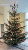 Dateiname=Dez_IMG_20211215_112739_28229.jpg
Dateigröße=855KB
Abmessungen: 686x1200
hinzugefügt am: 17. Dezember 2021 Dez_IMG_20211215_112739_28229.jpg