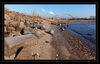 Dateiname=Eiskalt_am_Rhein_01_gemappt_m_R.jpg
Dateigröße=506KB
Abmessungen: 850x545
hinzugefügt am: 07. Februar 2012 Eiskalt_am_Rhein_01_gemappt_m_R.jpg