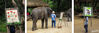 Dateiname=Elefant_malt_01.jpg
Dateigröße=485KB
Abmessungen: 1016x337
hinzugefügt am: 02. Juli 2014 Elefant_malt_01.jpg
