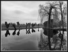 Dateiname=Elise_-_Die_Natur_schlaft_noch.jpg
Dateigröße=1022KB
Abmessungen: 1400x1064
hinzugefügt am: 20. Februar 2024 Elise_-_Die_Natur_schlaft_noch.jpg