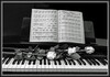 Dateiname=Elise_-_Sinfonie_in_Schwarz_-_Weiss-jpg.jpg
Dateigröße=1027KB
Abmessungen: 1800x1260
hinzugefügt am: 14. Februar 2024 Elise_-_Sinfonie_in_Schwarz_-_Weiss-jpg.jpg