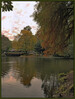 Dateiname=Elise_Baume_am_Wasser_R-_k-_jpg.jpg
Dateigröße=1117KB
Abmessungen: 1200x1587
hinzugefügt am: 29. Oktober 2024 Elise_Baume_am_Wasser_R-_k-_jpg.jpg