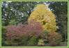 Dateiname=Elise_Die_Farben_des_Herbstes_R-k-jpg.jpg
Dateigröße=1442KB
Abmessungen: 1200x835
hinzugefügt am: 08. Oktober 2024 Elise_Die_Farben_des_Herbstes_R-k-jpg.jpg