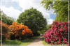 Dateiname=Elise_FARBENFROH_R-K-.jpg
Dateigröße=1266KB
Abmessungen: 1200x801
hinzugefügt am: 22. Mai 2026 Elise_FARBENFROH_R-K-.jpg
