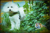 Dateiname=Elise_Falsche_Proportionen-_Strukturen_-.jpg
Dateigröße=1007KB
Abmessungen: 1400x943
hinzugefügt am: 25. Februar 2025 Elise_Falsche_Proportionen-_Strukturen_-.jpg