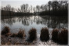 Dateiname=Elise_Gegenlichtaufnahme_R-k-jpg.jpg
Dateigröße=1013KB
Abmessungen: 1200x801
hinzugefügt am: 17. März 2025 Elise_Gegenlichtaufnahme_R-k-jpg.jpg