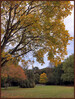 Dateiname=Elise_Parkdetails_-__R-jk-pg.jpg
Dateigröße=1620KB
Abmessungen: 1400x1854
hinzugefügt am: 29. Oktober 2024 Elise_Parkdetails_-__R-jk-pg.jpg