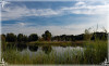 Elise_SEELANDSCHAFT-R-K.jpg