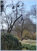 Elise_Sportschuhdekoration_im_Park_k-jpg.jpg