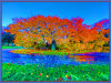 Dateiname=Elise_WUNDERBARER_HERBST_-_R-k-~0.jpg
Dateigröße=1828KB
Abmessungen: 1200x911
hinzugefügt am: 25. Februar 2025 Elise_WUNDERBARER_HERBST_-_R-k-~0.jpg