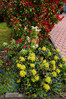 Farbenfroh_P1110508.JPG