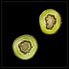 Dateiname=Februarfoto_Kiwis_q_01.jpg
Dateigröße=509KB
Abmessungen: 1200x1200
hinzugefügt am: 21. Februar 2022 Februarfoto_Kiwis_q_01.jpg