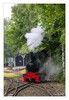 Dateiname=Feldbahnmuseum_Oekoven_Der_Zug_faehrt_19.jpg
Dateigröße=1085KB
Abmessungen: 829x1200
hinzugefügt am: 07. Juni 2024 Feldbahnmuseum_Oekoven_Der_Zug_faehrt_19.jpg