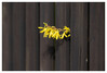 Dateiname=Forsythie_01~0.jpg
Dateigröße=459KB
Abmessungen: 1200x815
hinzugefügt am: 05. März 2024 Forsythie_01~0.jpg