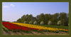 Dateiname=Frühling_auf_den_Feldern_02.jpg
Dateigröße=353KB
Abmessungen: 1024x534
hinzugefügt am: 16. April 2011 Frühling_auf_den_Feldern_02.jpg
