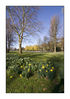 Dateiname=Frühling_auf_den_Rheinterassen_04.jpg
Dateigröße=426KB
Abmessungen: 637x900
hinzugefügt am: 21. März 2011 Frühling_auf_den_Rheinterassen_04.jpg