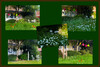 Dateiname=Frei_Elise_-_Oase_in_verschiedenen_Jahreszeiten_II_.jpg
Dateigröße=1113KB
Abmessungen: 1200x808
hinzugefügt am: 06. August 2024 Frei_Elise_-_Oase_in_verschiedenen_Jahreszeiten_II_.jpg