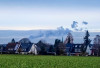 Dateiname=Frei_Manni~1.jpg
Dateigröße=704KB
Abmessungen: 1200x824
hinzugefügt am: 31. Januar 2025 Frei_Manni~1.jpg