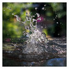 Dateiname=Frei_Splash_Marianne.jpg
Dateigröße=1069KB
Abmessungen: 1200x1200
hinzugefügt am: 03. August 2024 Frei_Splash_Marianne.jpg