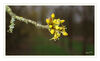 Dateiname=Fruehlingsblueten_02.jpg
Dateigröße=393KB
Abmessungen: 1024x625
hinzugefügt am: 23. Februar 2020 Fruehlingsblueten_02.jpg