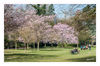 Dateiname=Fruehlingserwachen_01.jpg
Dateigröße=786KB
Abmessungen: 850x561
hinzugefügt am: 20. März 2014 Fruehlingserwachen_01.jpg