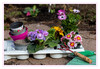 Dateiname=Fruehlingserwachen_Ich_lege_los_22.jpg
Dateigröße=904KB
Abmessungen: 1200x832
hinzugefügt am: 18. März 2021 Fruehlingserwachen_Ich_lege_los_22.jpg