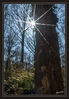 Dateiname=Fruehlingssonne_01.jpg
Dateigröße=616KB
Abmessungen: 590x850
hinzugefügt am: 08. April 2013 Fruehlingssonne_01.jpg