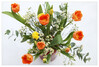 Dateiname=Fruehlingsstrauss_k_011.jpg
Dateigröße=689KB
Abmessungen: 1200x815
hinzugefügt am: 10. März 2021 Fruehlingsstrauss_k_011.jpg