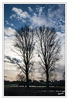 Dateiname=Gegenlicht_02.jpg
Dateigröße=536KB
Abmessungen: 589x850
hinzugefügt am: 02. Januar 2013 Gegenlicht_02.jpg