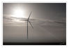 Dateiname=Gegenlicht_auf_dem_Feld_0100.jpg
Dateigröße=183KB
Abmessungen: 850x590
hinzugefügt am: 15. November 2013 Gegenlicht_auf_dem_Feld_0100.jpg
