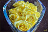 Dateiname=Gelbe_Rosen.jpg
Dateigröße=462KB
Abmessungen: 850x564
hinzugefügt am: 08. Februar 2015 Gelbe_Rosen.jpg