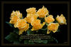 Dateiname=Gelbe_Rosen_03_Kopie_m_R.jpg
Dateigröße=360KB
Abmessungen: 850x561
hinzugefügt am: 05. Februar 2012 Gelbe_Rosen_03_Kopie_m_R.jpg
