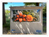 Graffiti_Blumen_02_k.jpg