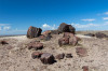 Dateiname=HP_07_07_Petrified_Forest_012.jpg
Dateigröße=314KB
Abmessungen: 1200x800
hinzugefügt am: 08. Juli 2025 HP_07_07_Petrified_Forest_012.jpg