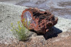 Dateiname=HP_07_07_Petrified_Forest_023.jpg
Dateigröße=487KB
Abmessungen: 1200x800
hinzugefügt am: 08. Juli 2025 HP_07_07_Petrified_Forest_023.jpg