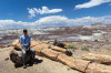 Dateiname=HP_07_07_Petrified_Forest_Jo_011.jpg
Dateigröße=336KB
Abmessungen: 1200x800
hinzugefügt am: 08. Juli 2025 HP_07_07_Petrified_Forest_Jo_011.jpg