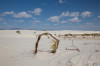 Dateiname=HP_19_05_White_Sand_Detail_03.jpg
Dateigröße=651KB
Abmessungen: 1200x800
hinzugefügt am: 20. Mai 2025 HP_19_05_White_Sand_Detail_03.jpg