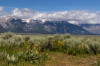 Dateiname=HP_22_06_Grand_Teton_NP_019.jpg
Dateigröße=346KB
Abmessungen: 1200x800
hinzugefügt am: 25. Juni 2025 HP_22_06_Grand_Teton_NP_019.jpg