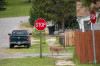 HP_26__06_Red_Lodge_04.jpg