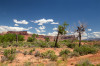 Dateiname=HP_30_05_Bears_Ears_NM_06.jpg
Dateigröße=1054KB
Abmessungen: 1200x800
hinzugefügt am: 01. Juni 2025 HP_30_05_Bears_Ears_NM_06.jpg